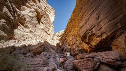 സൗദി അറേബ്യയില്‍ 7,000 വർഷം പഴക്കമുള്ള സ്മാരകത്തിൽ മനുഷ്യനെ അടക്കം ചെയ്തിരുന്നെന്ന് പുരാവസ്തു ഗവേഷകർ