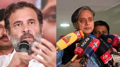 ഇത്ര ധൃതി പിടിച്ച് അയോഗ്യനാക്കിയതെന്തിന്? ഇനി കാണാൻ പോകുന്നത് പ്രതിപക്ഷ ഐക്യമെന്ന് ശശി തരൂർ