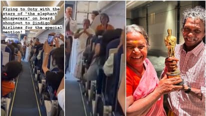 'ಎಲಿಫೆಂಟ್ ವಿಸ್ಪರರ್ಸ್' ಬೊಮ್ಮನ್-ಬೆಳ್ಳಿ ದಂಪತಿಗೆ ವಿಮಾನದಲ್ಲಿ ವಿಶೇಷ ಗೌರವ; ವಿಡಿಯೋ ವೈರಲ್ 