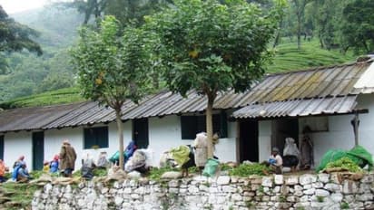 യാത്രാസൗകര്യമില്ല, എങ്ങനെ സ്കൂളിൽ പോകും; അധികാരികളോട് കാന്തല്ലൂരിലെ വിദ്യാർത്ഥികൾ ചോദിക്കുന്നു