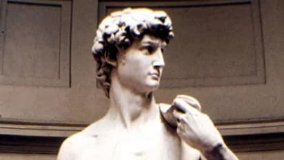 മൈക്കലാഞ്ചലോയുടെ 'ദാവീദ്' പരിചയപ്പെടുത്തി, അശ്ലീലമെന്ന് ആരോപണം, പ്രിൻസിപ്പലിന് രാജി വെക്കേണ്ടിവന്നു