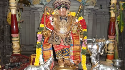 மன்னார்குடி ராஜகோபால சுவாமி கோவிலில் வெண்ணைத்தாழி திருவிழா; சுவாமி மீது வெண்ணை வீசி வழிபாடு!