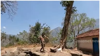 ഉള്ളുനീറി ഊരുകൾ: അജ്ഞത മുതലെടുത്ത് ചൂഷണം; ആദിവാസികൾ ഇപ്പോഴും ദുരിതത്തിൽ