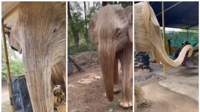 നീലഗിരിയില്‍ നിന്നും 'ലന്താന'യില്‍ തീര്‍ത്ത ആന; ഏറ്റെടുത്ത് നെറ്റിസണ്‍സ്