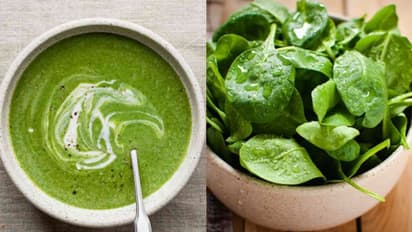 പാലക് ചീര കൊണ്ടൊരു ഹെൽത്തി സൂപ്പ് ; റെസിപ്പി 