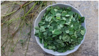 മുരിങ്ങയില കഴിച്ചാൽ ഈ രോ​ഗങ്ങളെ അകറ്റി നിർത്താം 