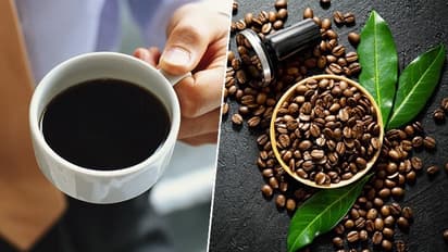 Coffee: காபி குடித்தால் தான் வேலையே ஓடுமா? ஆனா 2 முறைக்கு மேல காபி குடித்தால் பாதிப்பு! இத்தனை தீமைகள் இருக்கு