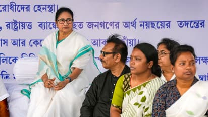 mamata
