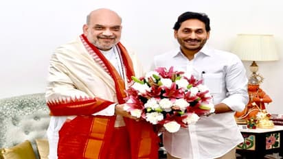 అమిత్ షాతో ముగిసిన జగన్ భేటీ: విభజన సమస్యలపై చర్చ