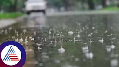 Climate change: ಹವಾಮಾನ ವೈಪರೀತ್ಯದಿಂದ ಗೇರು, ಮಾವು, ಹಲಸು ಇಳುವರಿ ಕುಂಠಿತ: ಸಂಕಷ್ಟದಲ್ಲಿ ರೈತರು