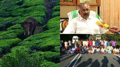 'അരിക്കൊമ്പൻ സമരത്തെ തള്ളിപ്പറയുന്നില്ല, കോടതി നടപടി സ്ഥിതി സങ്കീർണ്ണമാക്കി'; വിദഗ്ദ സമിതി ഉടന്‍ ഇടുക്കിയിലെത്