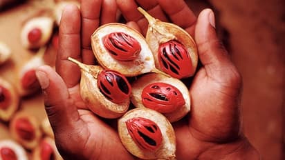 Nutmeg Benefits: பெண்களின் வயாகரா ஜாதிக்காய் தான்!! இதன் நன்மைகள் என்ன? பெண்கள் அவசியம் படிக்கவும்...!!!
