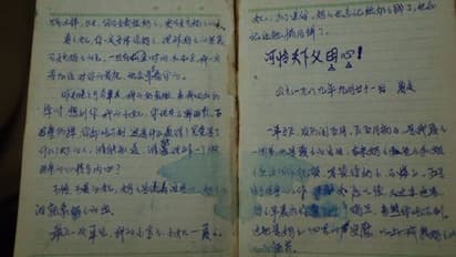 ചൈനയുടെ ഒറ്റക്കുട്ടിനയം കാരണം അന്ന് അമ്മയ്‍ക്ക് കുഞ്ഞിനെ പിരിയേണ്ടി വന്നു; ഡയറിക്കുറിപ്പ് പങ്കുവെച്ച് മകള്‍