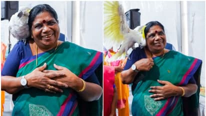 സെന്റ് ബർണാഡിനെയും മെയിന്കൂണിനെയും ഷുഗര് ഗ്ലൈഡറിനെയും കണ്ട് അമ്പരന്ന് മന്ത്രി; പിന്നാലെ സുപ്രധാന പ്രഖ്യാപനം