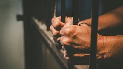 ലഹരിക്കും ലൈംഗികതക്കും അടിമ; യുവാവ് 7 വർഷത്തിനിടെ തട്ടിക്കൊണ്ടുപോയത്  30 കുട്ടികളെ, ക്രൂര പീഡനം, കൊലപാതകം  