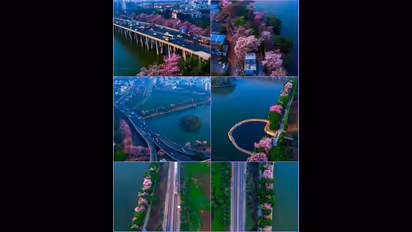 ಹೂವೇ ಹೂವೇ.. ನಿನ್ನೀ ಚೆಲುವಿಗೆ ಕಾರಣವೇನೇ? ಬೆಂಗಳೂರಿನ ಪುಷ್ಪವಲ್ಲಿಯರು..