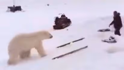 വെറുമൊരു വടികൊണ്ട് ധ്രുവക്കരടികളെ തുരത്തിയോടിക്കുന്ന മനുഷ്യൻ, വീഡിയോ വൈറലാകുന്നു