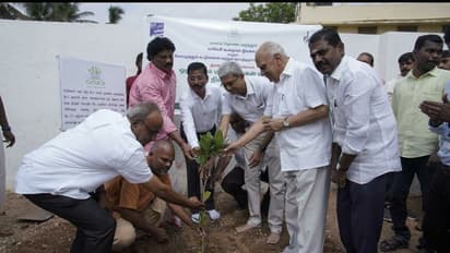 விவசாயிகள் மனது வைத்தால் 242 கோடி மரங்கள் நடுவது பெரிய விஷயமே இல்லை..! காவேரி கூக்குரல் இயக்கம் உறுதி