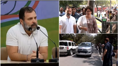 'കുറ്റവാളികൾ സാധാരണ അപ്പീൽ നല്കാൻ സ്വയം കോടതിയിൽ പോകാറില്ല' രാഹുലിന്റേത് നാടകമെന്ന് ബിജെപി