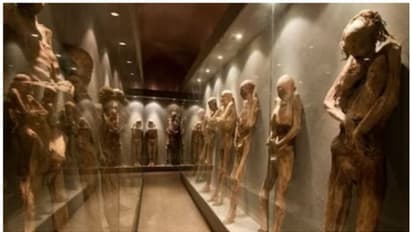 മമ്മികൾ അപകടകാരികളോ? മുന്നറിയിപ്പുമായി ആരോഗ്യ വിദഗ്ധർ