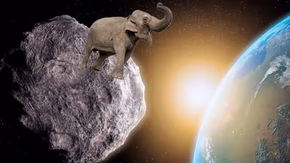 Asteroid 2023 FM, 'the size of 90 elephants', speeding towards Earth; Check details