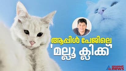 ആപ്പിളിന്‍റെ ഇന്‍സ്റ്റാഗ്രാം പേജിലെ വൈറൽ പൂച്ചയ്ക്ക് പിന്നില്‍ ഒരു 'മലയാളി ക്ലിക്ക്' !