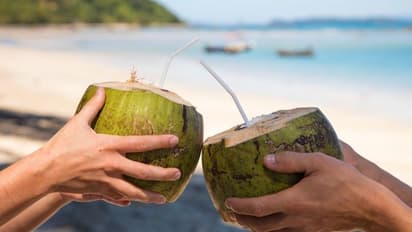 Health Tips : தினமும் தேங்காய் தண்ணீர் குடிங்க... இந்த நோய்களுக்கு எல்லாம் குட் பை சொல்லுங்க..!!