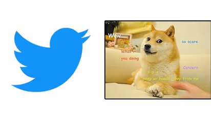 Twitter logo changed from iconic blue bird to doge meme