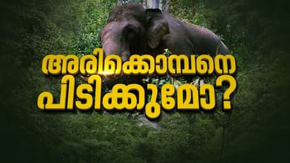 'അരിക്കൊമ്പനെ പറമ്പിക്കുളത്തേക്ക് മാറ്റരുത്': നെല്ലിയാമ്പതിയിൽ ഹർത്താൽ തുടങ്ങി