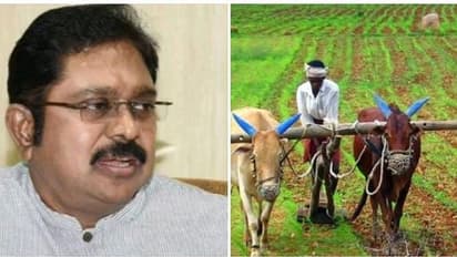 நிலக்கரி சுரங்கத்திற்கு அனுமதியா.? மண்ணுக்கடியில் வைரமே கிடைப்பதாலும் வேண்டாம்.! விவசாயம்தான் வேண்டும்- டிடிவி