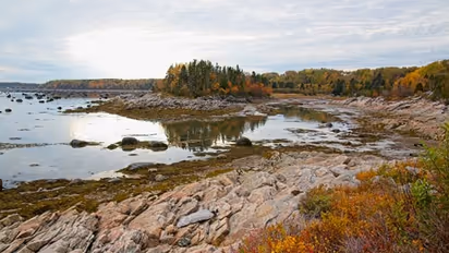 യുഎസ് - കാനഡ അതിര്ത്തിയില് കണ്ടെത്തിയ എട്ട് മൃതദേഹങ്ങളില് നാല് എണ്ണം ഇന്ത്യന് വംശജരുടേത്