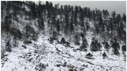 5 skiers killed in two avalanches in French Alps, four Norwegian nationals among the victims