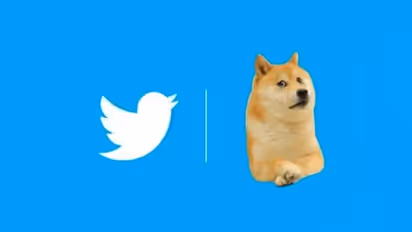 అసలు ట్విట్టర్ లోగో ఖరీదు ఎంతో తెలుసా..? వింటే మీరు షాక్ అవుతారు!