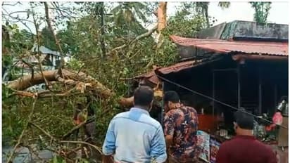 തെക്കന്‍ കേരളത്തില്‍ കനത്ത മഴയിലും കാറ്റിലും നാശനഷ്ടം; മരം വീണ് രണ്ട് പേര്‍ക്ക് ദാരുണാന്ത്യം