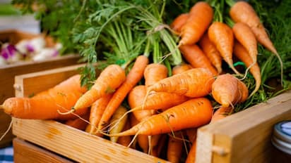 ಟೊಮೆಟೋ ನಂತರ 100 ರೂ. ದಾಟಿದ ಬೀನ್ಸ್, ಕ್ಯಾರೆಟ್: ಬೆಲೆ ಕೇಳಿ ಹೌಹಾರಿದ ಗ್ರಾಹಕ...!