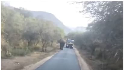 അതിർത്തിയിൽ കാട്ടാന ആക്രമണം; ലോറി ആക്രമിച്ചു, മൂന്ന് വാഹനങ്ങൾക്ക് കേടുപാട്, ഒന്നരമണിക്കൂറോളം ഗതാഗത തടസ്സം