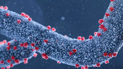 മാര്ബര്ഗ് വൈറസ്; ക്വാറന്റീൻ നിര്ദേശങ്ങള് നല്കി യുഎഇ; അറിയാം ഈ ലക്ഷണങ്ങള്...