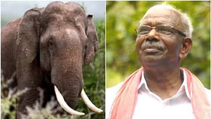 'ഇവിടുത്തെ ശല്യം ഒഴിവാക്കി, ഇനി പറമ്പിക്കുളത്തുള്ളവര് അനുഭവിക്കട്ടെ'; അരിക്കൊമ്പന് വിധിയില് എംഎം മണി