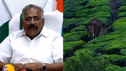 പിടിതരാതെ അരിക്കൊമ്പൻ, ദൗത്യത്തിൽ നിന്ന് പിന്മാറില്ലെന്ന് വനം മന്ത്രി