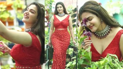 ചുവപ്പില്, ചെടികളോട് മിണ്ടിയും പറഞ്ഞും ഗ്ലാമറസായി ഹണി റോസ്