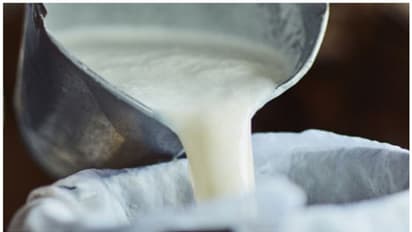 'ഉദ്യോ​ഗസ്ഥന്റെ താല്പര്യത്തിന് മുൻ​ഗണന'; ഇടുക്കിയിൽ ക്ഷീരകർഷകർക്കായുള്ള പദ്ധതിയില്‍ നടന്നത് വൻ തട്ടിപ്പ്