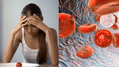 Health Tips: വിളർച്ചയുണ്ടോ? ഹീമോഗ്ലോബിന്റെ അളവ് കൂട്ടാന് കഴിക്കാം ഈ ഏഴ് ഭക്ഷണങ്ങള്...