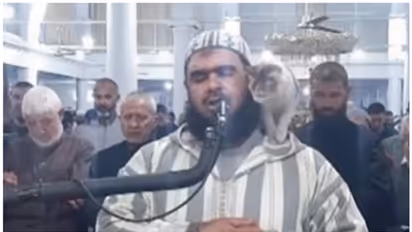 റമദാന്‍ പ്രാര്‍ത്ഥനയ്ക്കിടെ ചുമലില്‍ കയറിയ പൂച്ചയെ താലോലിക്കുന്ന ഇമാമിന്‍റെ വീഡിയോ വൈറല്‍
