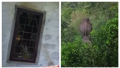 ചിന്നക്കനാലിൽ വീണ്ടും അരിക്കൊമ്പൻ്റെ ആക്രമണം; വീട് തകർത്തു, നാട്ടുകാരെത്തി ആനയെ തുരത്തി