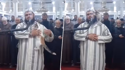 Ramadan 2023: Cat jumps on Imam during live broadcast of prayers in Algeria; video goes viral