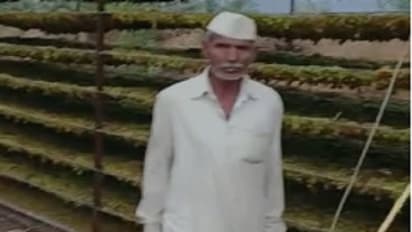 ವಿಜಯಪುರ: ಅಕಾಲಿಕ ಮಳೆಗೆ ಅಪಾರ ಪ್ರಮಾಣದ ದ್ರಾಕ್ಷಿಗೆ ಹಾನಿ, ಸಂಕಷ್ಟಕ್ಕೆ ಸಿಲುಕಿದ ರೈತರು