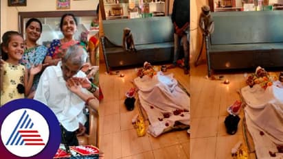 Viral Video: ನಿತ್ಯ ಬಾಳೆಹಣ್ಣು ಕೊಡುತ್ತಿದ್ದ ವೃದ್ಧ ಸಾವು; ಮೃತದೇಹಕ್ಕೆ ಮುತ್ತಿಟ್ಟು ಅಂತಿಮ ನಮನ ಸಲ್ಲಿಸಿದ ಮಂಗ!