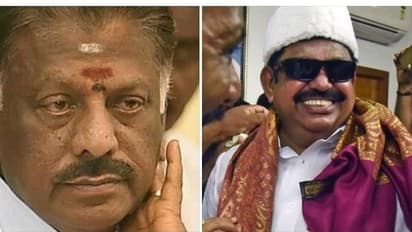 எம்ஜிஆர் குல்லா,கண்ணாடியோடு எடப்பாடி பழனிசாமி..! ஓ.பன்னீர் செல்வத்தின் ரியாக்‌ஷன் என்ன தெரியுமா..?