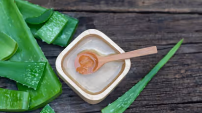 തലമുടിയുടെയും ചര്മ്മത്തിന്റെയും സംരക്ഷണത്തിനായി കറ്റാര്വാഴ; പരീക്ഷിക്കാം ഇക്കാര്യങ്ങള്...