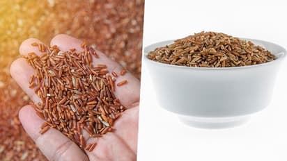 Here are 3 health benefits of switching to brown rice daily